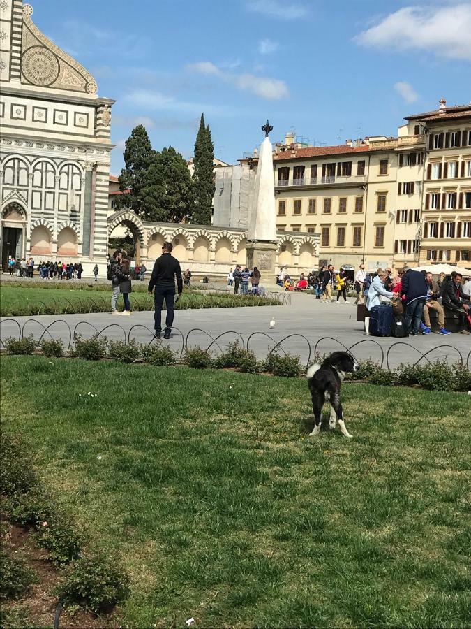 Bed and breakfast Kingsman Florencia